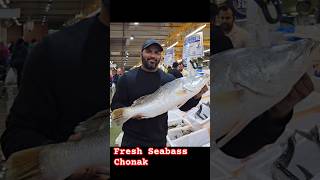 Fresh Fish Seabass  Shark  Shorts [upl. by Ruamaj]