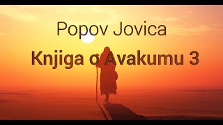 Popov Jovica  Knjiga o Avakumu 3 [upl. by Ahsiniuq866]