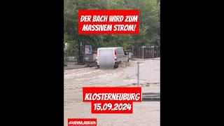 Bach wird zum Massivem Strom Extremes Hochwasser in Klosterneuburg flood viralvideo hochwasser [upl. by Amy]