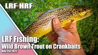 LRF Fishing Wild Brown Trout on Micro Crankbaits [upl. by Ragg747]