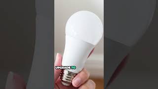 The Top Benefits Of Upgrading To Led Bulbs ledlight led energyconservation [upl. by Adekram]