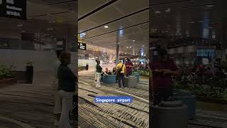 Exploring Singapore Changi Airport Terminal 3  nusafly [upl. by Percival163]