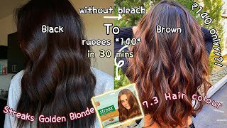 STREAX Golden Blonde 73 Hair Colour Review amp Demo How To Do Hair Colour At Home streaxcolor hair [upl. by Itnuahsa]