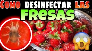 COMO DESINFECTAR LAS FRESAS 🍓 How To Disinfect Strawberries [upl. by Netsrijk]