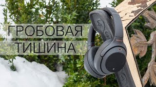 Обзор ANC наушников Sony WH1000XM3  вижу звон да не слышу где он [upl. by Enelyam]