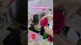 DIY Rose Water Easy amp Affordable [upl. by Sirc]