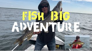 Fish Big Adventure Pike and Walleye [upl. by Shandie]