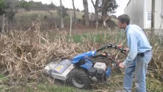 BCS 749 WalkBehind Tractor amp Berta 26quot Flail Mower [upl. by Trinl]