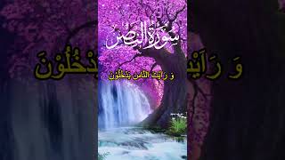 Surah Al  Nasr Sorts Misri Alafasy tilawat and Urdu translate quranshorts hadees shortsvideo [upl. by Arst]