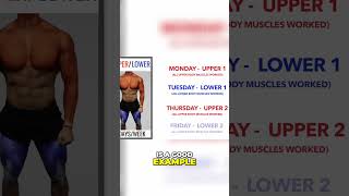 Maximize Results Upper Lower Split Workout Guide shorts gym duet gymman gymexercises podcast [upl. by Eindys568]