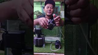 biofoam modifikasi dengan filter powerbhead dan mesin aerator pompa udara aquarium filteraquarium [upl. by Beauchamp]