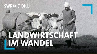 100 Jahre Landwirtschaft im Südwesten  Wie die Technik aufs Land kam  SWR Doku [upl. by Korten]