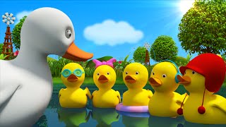 Five Little Ducks  Cartoon Nursery Rhymes For Toddlers  Kids Tv Nursery Rhymes For Children [upl. by Davies]