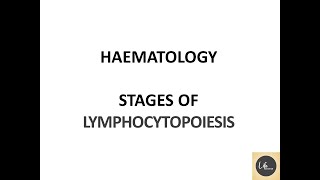 HAEMATOLOGY STAGES OF LYMPHOCYTOPOIESIS  Hematology Notes  Part67LifeScienceMCQs [upl. by Ait]