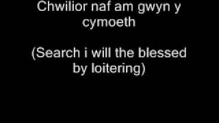 welsh song [upl. by Ennayar]