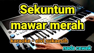 sekuntum mawar merah  elvi sukaesih  Karaoke Lirik Tanpa vocal by jampang pbg  psrs670 [upl. by Gautious616]