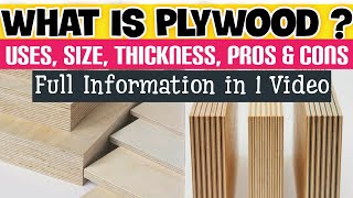 What is Plywood   Plywood Uses  Sizes of Plywood  Plywood Information in Hindi [upl. by Aiveneg975]