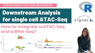 Comprehensive Guide to Downstream Analysis for SingleCell ATACSeq in R  scATACSeq Workflow [upl. by Ilyah]