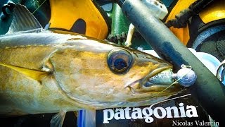 Soft Lure Pollock Masterclass [upl. by Frulla]