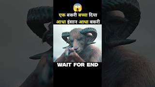 Lamb 2021  Lamb Movie Explained In Hindi shorts youtubeshorts [upl. by Yanehs]