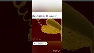 Chromosome to gene Animation video Biology Nucleus NEET Chromosome cell DNA Gene [upl. by Mellisa460]