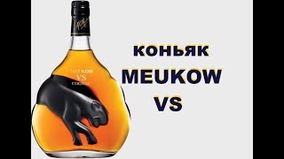 Коньяк Meukow VS обзор и дегустация [upl. by Maltz]