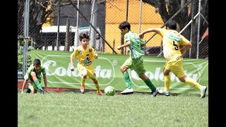 Cuenta regresiva para el Baby Fútbol que se verá por la pantalla de Telemedellín [upl. by Crim]