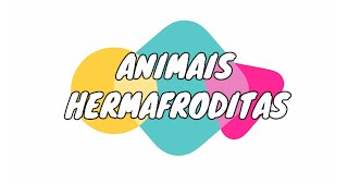 Animais Hermafroditas  hermafroditismo 🐌 [upl. by Ived544]