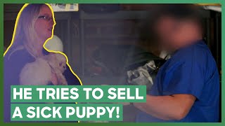 Puppy Mill Seller RUNS AWAY During Confrontation  Guardians Of Rescue [upl. by Ryhpez965]