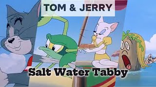 Tom and jerry Salt Water Tabby  part 3  tom and jerry cartoon  cartoon tom and jerry [upl. by Phil634]