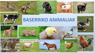 Baserriko animaliak [upl. by Enait697]