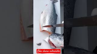 tuna fish cutting [upl. by Noelyn127]