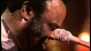 Freddie King  Sweet Home Chicago [upl. by Tiertza]