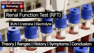 Renal Function Test  RFT  Kidney Function Test  BUN  Cretinine  Serum Electrolyte  MLT [upl. by Funk894]