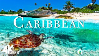 Caribbean 4k  Relaxing Music Along With Beautiful Nature Videos  4K Video Ultra HD [upl. by Dar977]