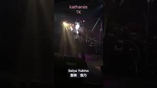 【一年間歌ってみた動画投稿企画カバー曲ライブ映像】katharsisB【聖夜雪乃】 [upl. by Cheng]