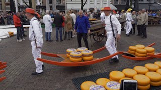 Von Käse  Windmühlen und Blumen Eine Busreise nach Holland [upl. by Eul470]