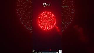 Top 6 most beautiful FIREWORKS shells 2024 shorts fireworks experiment pyro [upl. by Tap]