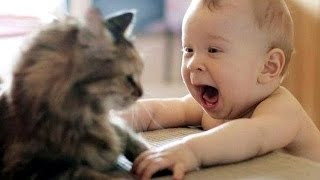 Cat Playing with Baby  Best of Cute Cats Love Babies Compilation [upl. by Ahselaf]