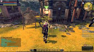 Archives RaiderZ Beta  02  Styles de Combat Libres FR [upl. by Chak882]