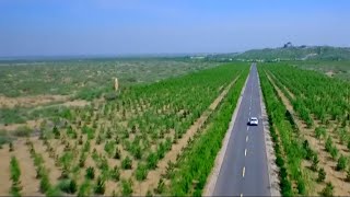 Can the Great Green Wall stop desertification in China [upl. by Eirojam]