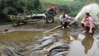 Video Fishing Technology  Cleverly use the pump to suck water in the wild lake Catch Many fish [upl. by Ingeborg]