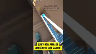 SUJEIRA EM PLACA SOLAR shorts energiasolar energiasolarresidencial solar [upl. by Ettenan]