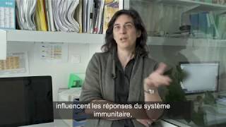 AACR  des petites vésicules pleines despoir [upl. by Trill]