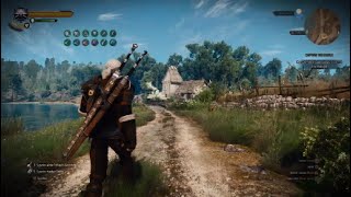 Witcher 3 Next Gen  Spellsword Adrenbow 100k Damage Build Lvl 47 Deathmarch New Game [upl. by Sigismundo932]