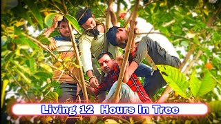 Living 12 Hours In Tree videos कौन लेकर जाएंगे 5000 रूपए Tree challenge video Experiment Boys RC [upl. by Havstad868]