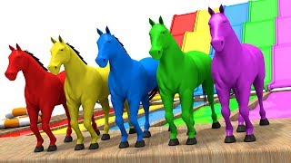 Learn Colors with Horse  Colors Learning Videos for Children  Animation for Kids [upl. by Adnirual309]