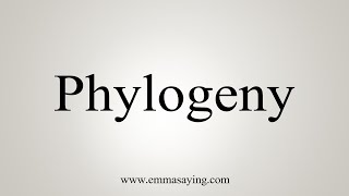 How To Say Phylogeny [upl. by Broder]