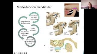 Trastornos temporomandibulares Diplomado “Odontología en Medicina de Sueño” [upl. by Adnamar135]