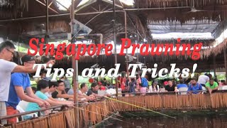 Singapore Prawning  Tips amp Tricks [upl. by Aratas756]